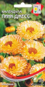 Календула Пинк Джесс (дом семян) 35 шт Календула Пинк Джесс (дом семян) 35 шт