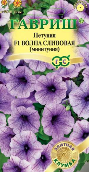 Петуния суперкаскадная Волна сливовая F1 минитуния (гавриш) 4 шт Петуния суперкаскадная Волна сливовая F1 минитуния (гавриш) 4 шт