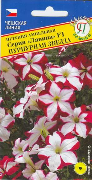 Петуния ампельная Лавина Пурпурная звезда F1 (престиж) 10 шт – купить в г. Омск Петуния ампельная Лавина Пурпурная звезда F1 (престиж) 10 шт – купить в г. Омск