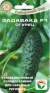 Огурец Задавака F1 (сибирский сад) 7 шт  – купить в г. Омск