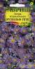Астра итальянская Рудольф Гете (гавриш) 0,05гр многолетняя  – купить в г. Омск