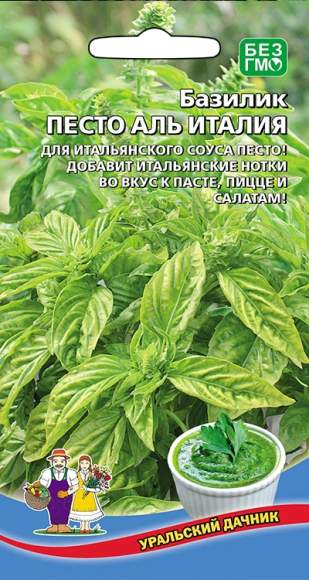 Базилик Песто аль Италия (уральский дачник) 0,25 гр  – купить в г. Омск