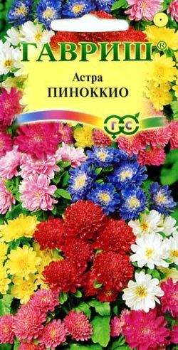 Астра Пиноккио смесь (гавриш) 0,3 гр – купить в г. Омск Астра Пиноккио смесь (гавриш) 0,3 гр – купить в г. Омск