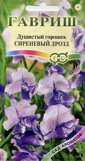 Душистый горошек Сиреневый дрозд (гавриш) 0,5гр  – купить в г. Омск
