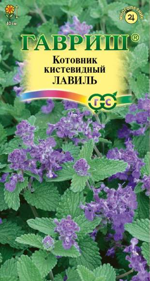 Котовник кистевидный Лавиль (гавриш) 0,03 гр  – купить в г. Омск