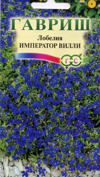 Лобелия Император Вилли (гавриш) 0,01гр – купить в г. Омск Лобелия Император Вилли (гавриш) 0,01гр – купить в г. Омск