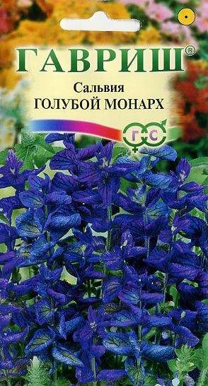 Сальвия Голубой монарх (гавриш) 0,05гр  – купить в г. Омск