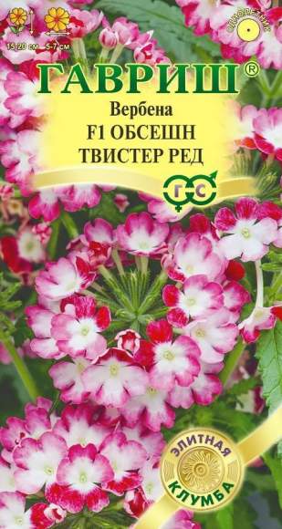 Вербена Обсешн твистер ред F1 (гавриш) 4 шт – купить в г. Омск Вербена Обсешн твистер ред F1 (гавриш) 4 шт – купить в г. Омск