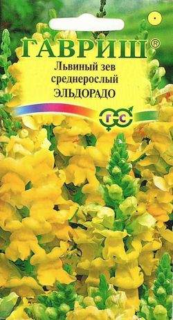 Антирринум (львиный зев) Эльдорадо (гавриш) 0,05 гр – купить в г. Омск Антирринум (львиный зев) Эльдорадо (гавриш) 0,05 гр – купить в г. Омск