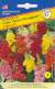 Львиный зев Мадам Баттерфляй F1 (престиж) 10 шт  – купить в г. Омск