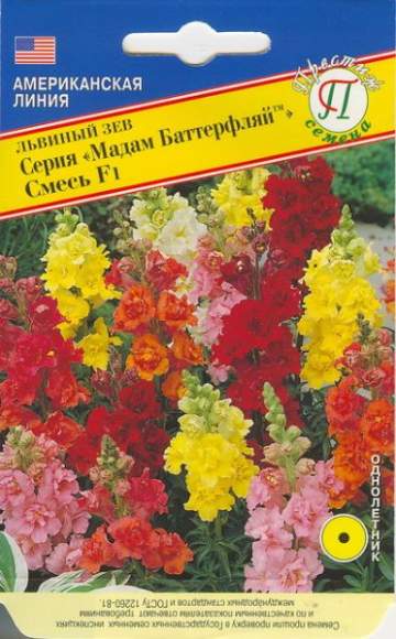 Львиный зев Мадам Баттерфляй F1 (престиж) 10 шт – купить в г. Омск Львиный зев Мадам Баттерфляй F1 (престиж) 10 шт – купить в г. Омск