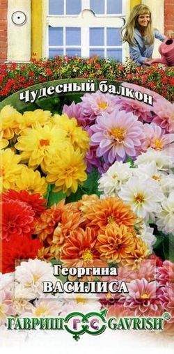 Георгина Василиса (гавриш) 0,3гр  – купить в г. Омск
