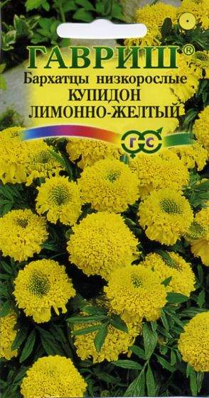 Бархатцы Купидон лимонно-желтый (гавриш) 0,05гр  – купить в г. Омск