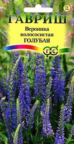 Вероника колосистая Голубая (гавриш) 0,02 гр
