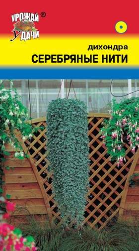 Дихондра Серебряные нити (урожай удачи) 0,01 гр  – купить в г. Омск