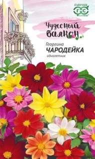 Георгина Чародейка (гавриш) 0,3гр