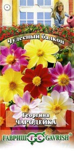 Георгина Чародейка (гавриш) 0,3гр  – купить в г. Омск