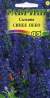 Сальвия Синее небо (гавриш) 0,05гр  – купить в г. Омск