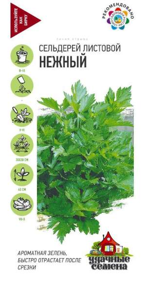 Сельдерей листовой Нежный (гавриш) (ус) 0,1гр – купить в г. Омск Сельдерей листовой Нежный (гавриш) (ус) 0,1гр – купить в г. Омск