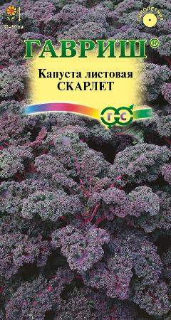 Капуста кале декоративная Скарлет (гавриш) 0,2 гр