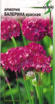 Армерия Балерина красная (дом семян) 10 шт Армерия Балерина красная (дом семян) 10 шт
