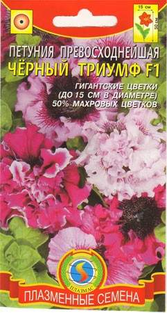 Петуния Черный Триумф F1 (плазмас) 10шт  – купить в г. Омск