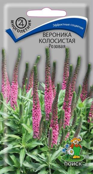 Вероника колосистая Розовая (поиск) 0,1гр  – купить в г. Омск