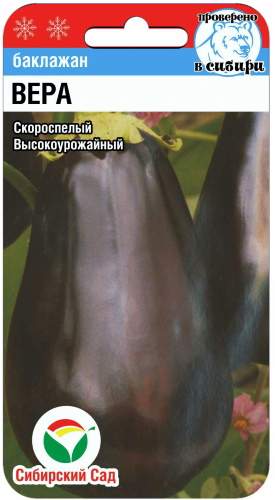 Баклажан Вера (сибирский сад) 20 шт  – купить в г. Омск