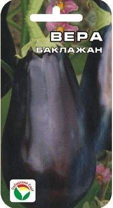 Баклажан Вера (сибирский сад) 20 шт – купить в г. Омск Баклажан Вера (сибирский сад) 20 шт – купить в г. Омск