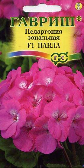 Пеларгония Павла F1 (г) 4шт  – купить в г. Омск