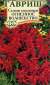 Сальвия (шалфей) Огненное волшебство (гавриш) 0,05 гр  – купить в г. Омск