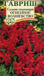 Сальвия (шалфей) Огненное волшебство (гавриш) 0,05 гр  – купить в г. Омск