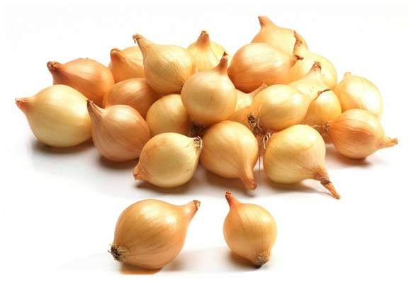 Лук-севок Штуттгартер-ризен 10-21мм (Голландия) – купить в г. Омск Лук-севок Штуттгартер-ризен 10-21мм (Голландия) – купить в г. Омск