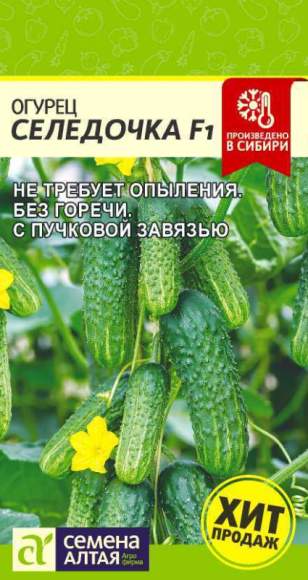 Огурец Селёдочка F1 (Семена Алтая) 5шт – купить в г. Омск Огурец Селёдочка F1 (Семена Алтая) 5шт – купить в г. Омск