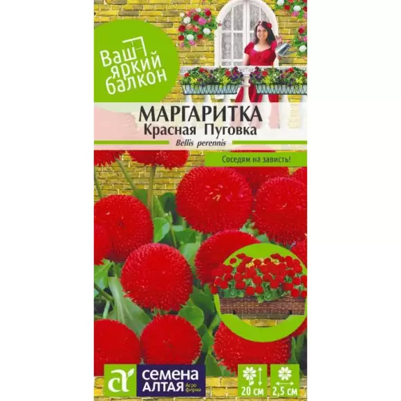 Маргаритка Красная пуговка (семена Алтая) 0,05 гр  – купить в г. Омск