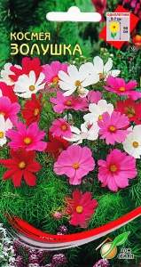 Космея Золушка (дом семян) 45 шт – купить в г. Омск Космея Золушка (дом семян) 45 шт – купить в г. Омск