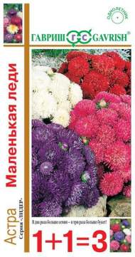 Астра Маленькая леди (1+1=3) 0,6гр (гавриш)