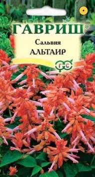 Сальвия Альтаир (г) 4шт