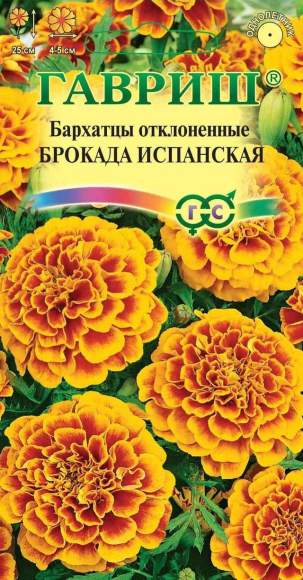 Бархатцы Брокада испанская (гавриш) 0,3 гр  – купить в г. Омск