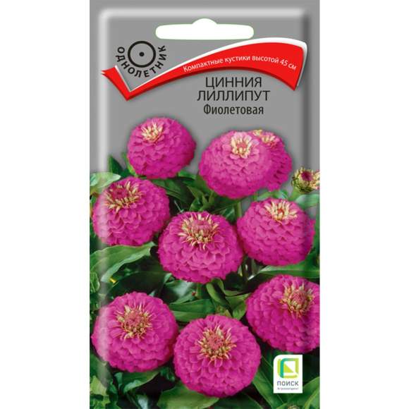 Цинния Лилипут фиолетовая (поиск) 0,4 гр  – купить в г. Омск