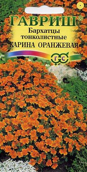 Бархатцы тонколистные Карина Оранжевая (гавриш) 0,05 гр  – купить в г. Омск