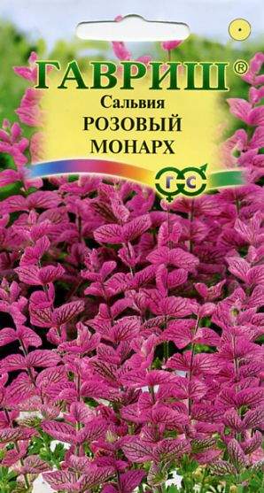 Сальвия Розовый монарх (гавриш) 0,05гр  – купить в г. Омск