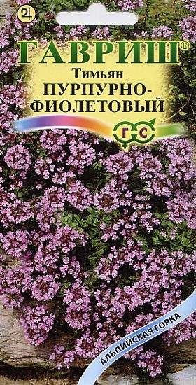 Тимьян Пурпурно-фиолетовый (гавриш) 0,03 гр многолетний  – купить в г. Омск