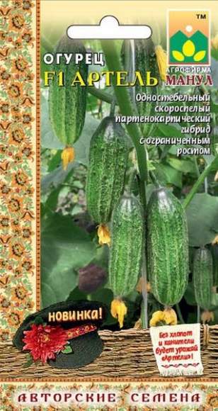 Огурец Артель F1 (манул) 10 шт  – купить в г. Омск