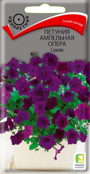 Петуния ампельная Опера синяя (поиск) 5шт  – купить в г. Омск