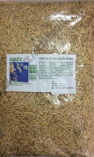 Овес 1кг – купить в г. Омск Овес 1кг – купить в г. Омск