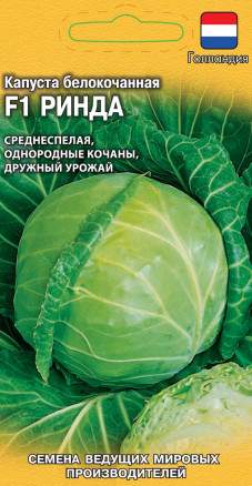 Капуста белокочанная Ринда F1 (гавриш) 10 шт  – купить в г. Омск