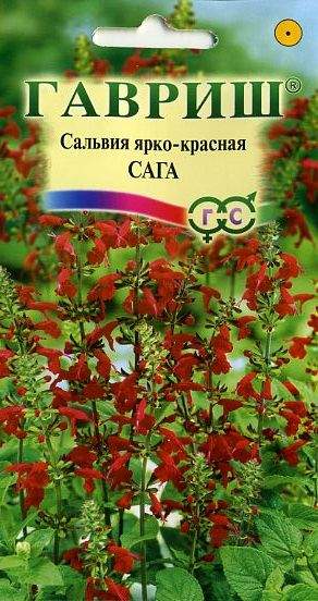 Сальвия Сага (гавриш) 0,05гр  – купить в г. Омск