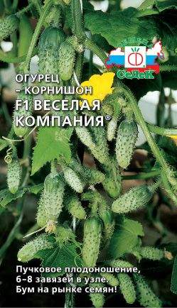 Огурец Веселая компания F1 (седек) 0,2 гр  – купить в г. Омск
