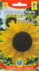 Подсолнух декоративный Золотой негр (плазмас) 12 шт  – купить в г. Омск